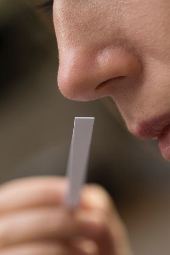 A parfumeur evaluating a fragrance on a scent strip