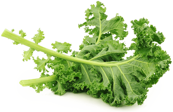 Vitamin K