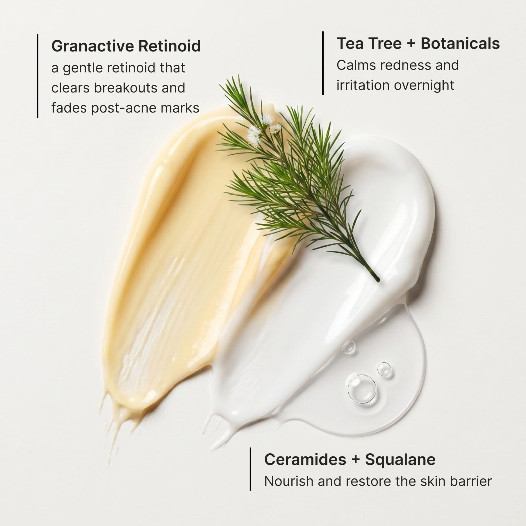 Three actives called out over tea tree sprigs and cream swatches: granactive retinoid, a gentle retinoid that clears breakouts and fades post-acne marks, tea tree and botanicals to calm redness and irritation overnight, and ceramides with squalane to nourish and restore the skin barrier
