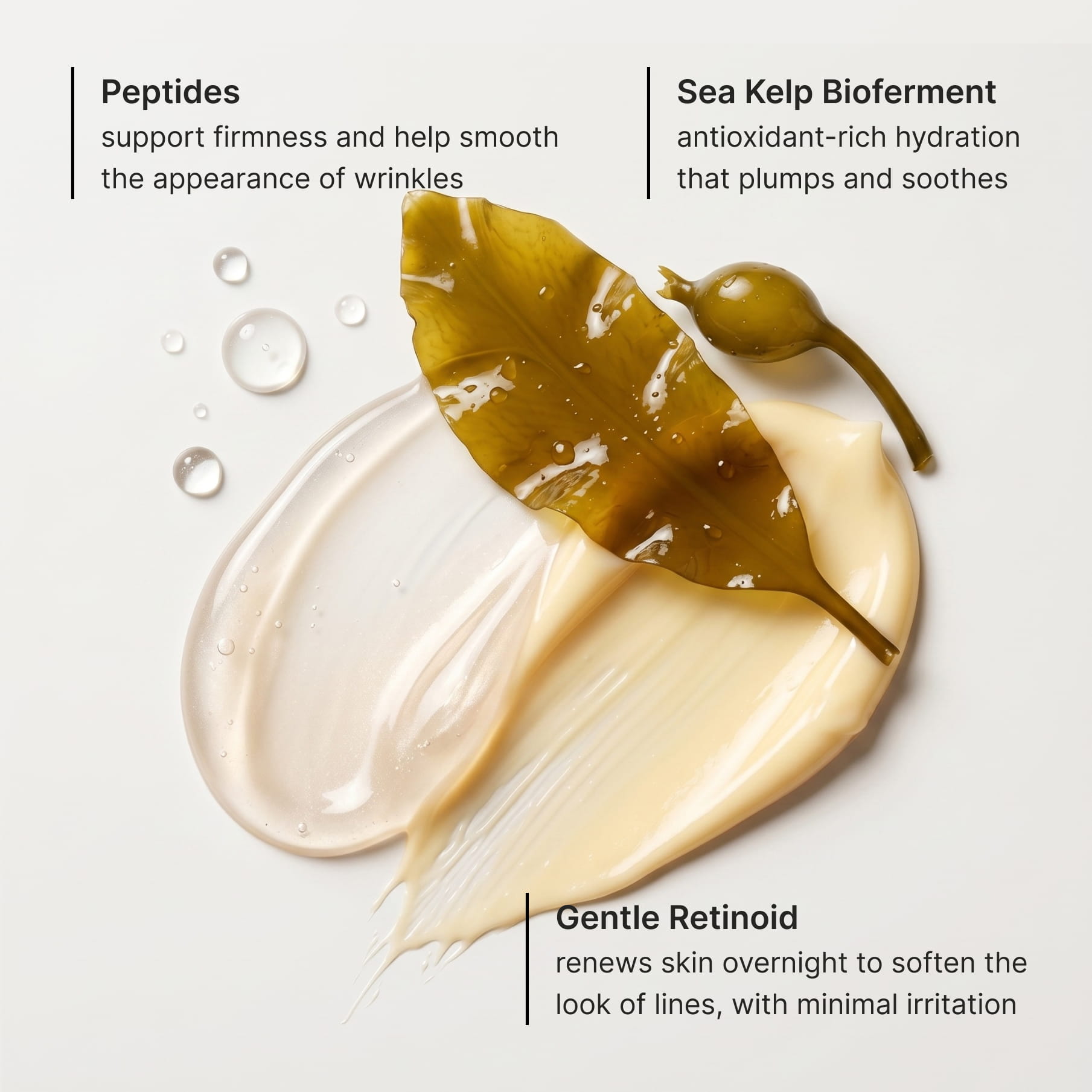 Three actives called out over sea kelp and cream swatches: peptides to support firmness and smooth the appearance of wrinkles, sea kelp bioferment for antioxidant-rich hydration, and a gentle retinoid that renews skin overnight with minimal irritation